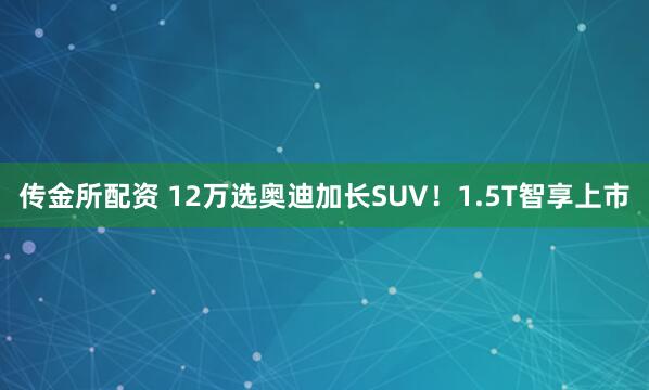 传金所配资 12万选奥迪加长SUV！1.5T智享上市