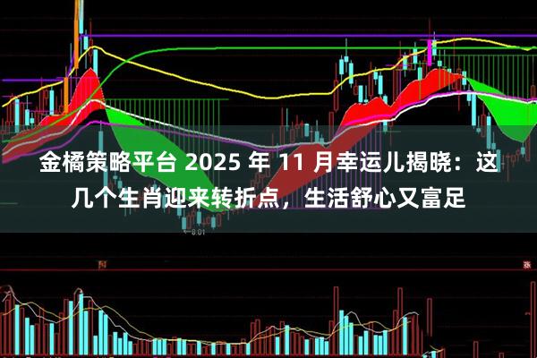 金橘策略平台 2025 年 11 月幸运儿揭晓：这几个生肖迎来转折点，生活舒心又富足