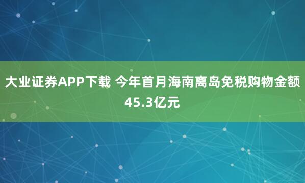 大业证券APP下载 今年首月海南离岛免税购物金额45.3亿元