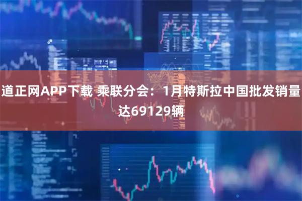 道正网APP下载 乘联分会：1月特斯拉中国批发销量达69129辆