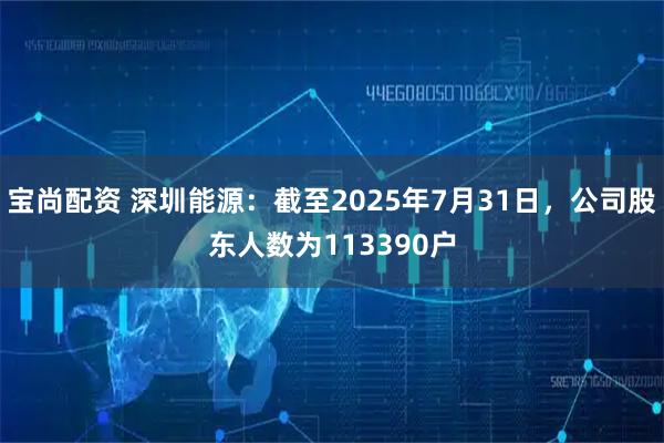 宝尚配资 深圳能源：截至2025年7月31日，公司股东人数为113390户
