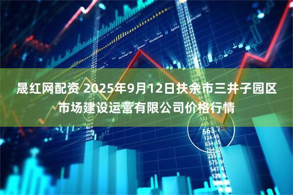 晟红网配资 2025年9月12日扶余市三井子园区市场建设运营有限公司价格行情