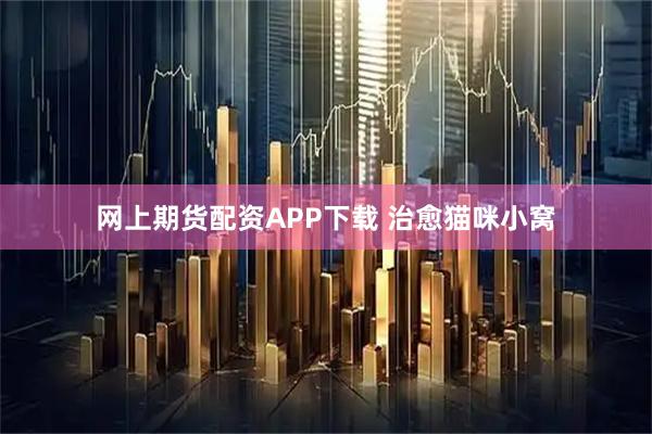 网上期货配资APP下载 治愈猫咪小窝